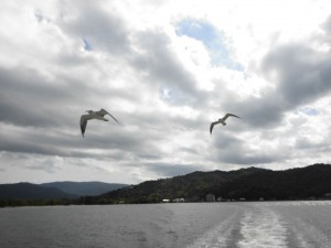 CIMG0370